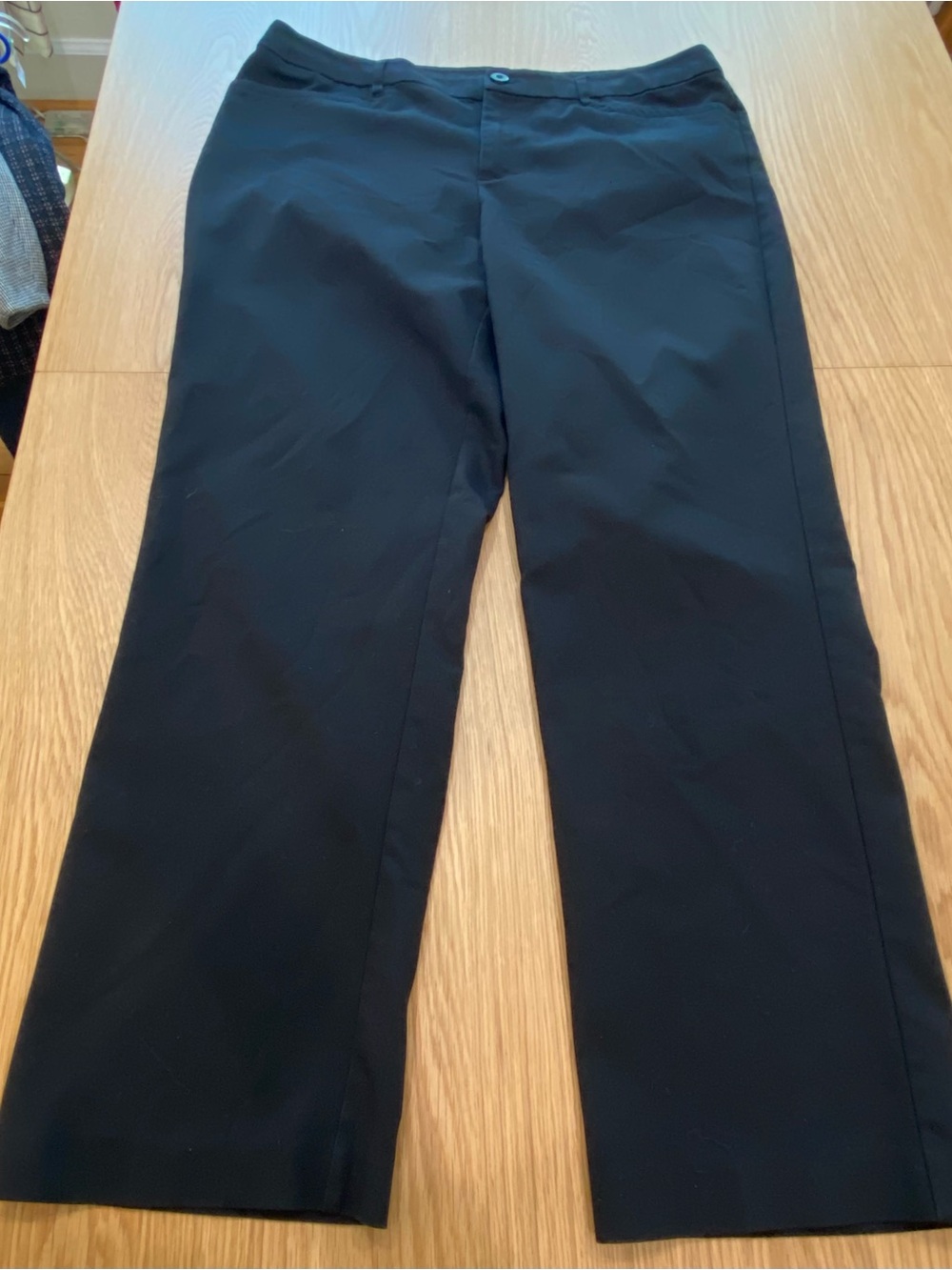 Christopher & Banks pants Size 16.